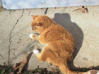 Relaxin' on the Concrete